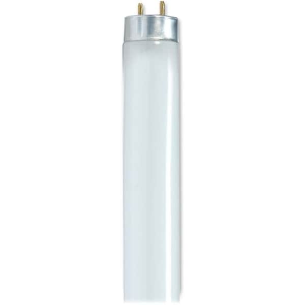 Satco Satco 32-watt 48" T8 Fluorescent Bulbs SDNS8449 - main
